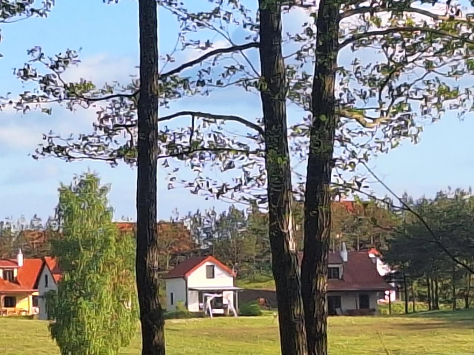 Posiadlosc Nad Zatoka Ryn  Room photo